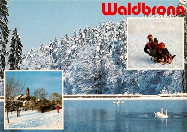 Waldbronn Albtal Winteridyll Kirche Schwanenteich