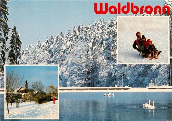 Waldbronn Albtal Winteridyll Kirche Schwanenteich