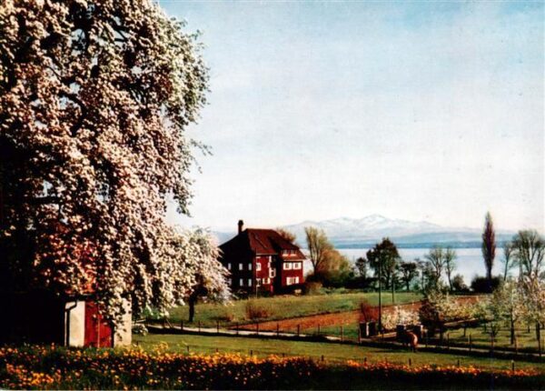 Immenstaad Bodensee Panorama