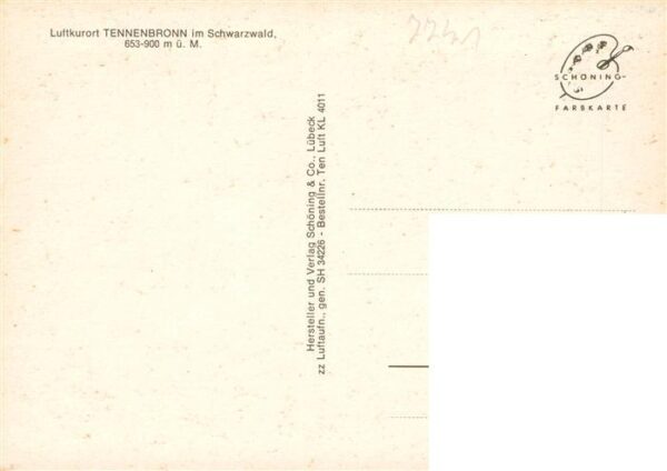 Tennenbronn Fliegeraufnahme – Bild 2