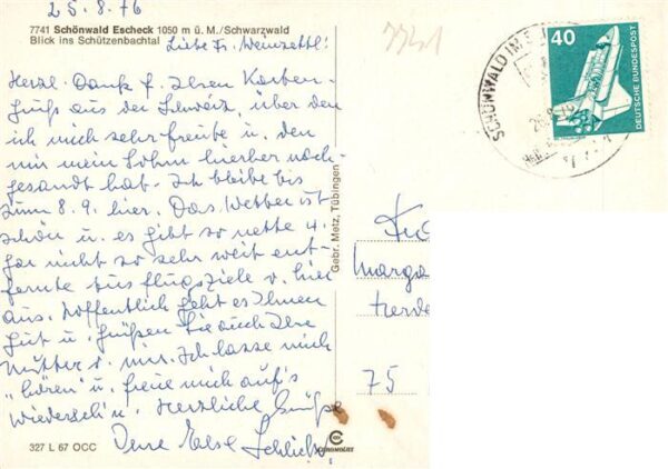 Escheck Schoenwald Schwarzwald Blick ins Schuetzenbachtal – Bild 2