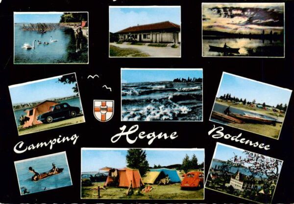 Hegne Konstanz Schwaene Campingplatz Seepartien Teilansichten