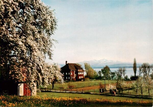 Immenstaad Bodensee Hardthof