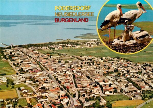 Podersdorf Neusiedler See AT Fliegeraufnahme Storchennest