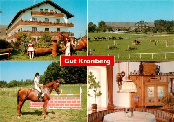 Kronberg Hoeslwang Chiemgau Gut Kronberg Reiterhof Springplatz