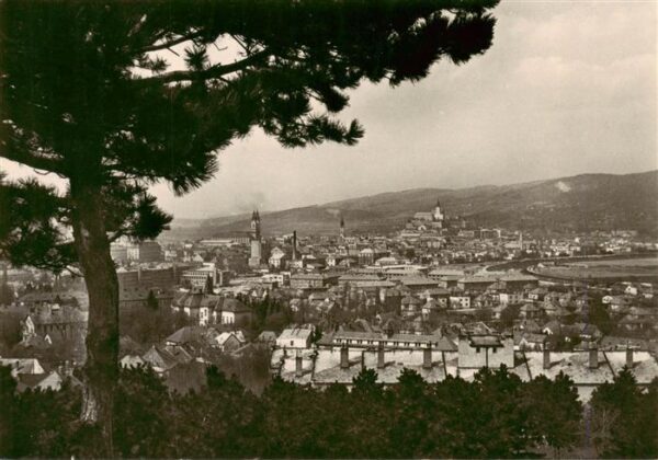 Nitra Slovakia Panorama