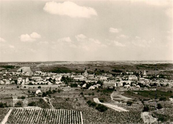 Modra Slovakia Panorama