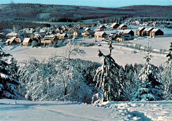 Altastenberg Winterpanorama
