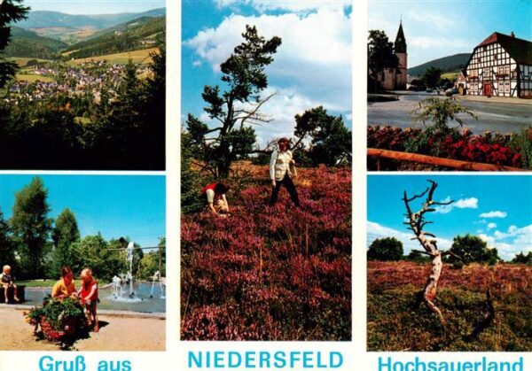 Niedersfeld Winterberg Panorama Heidelandschaft Fachwerkhaus Schwimmbad
