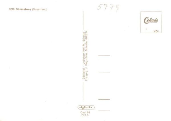 Obersalwey Fliegeraufnahme – Bild 2