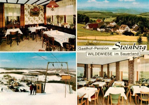 Wildewiese Gasthof Pension Steinberg Gastraeume Skilift Panorama