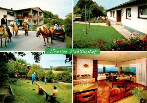 Sundern Sauerland Pension Nehlingshof Gastraum Ponykutsche Spielplatz