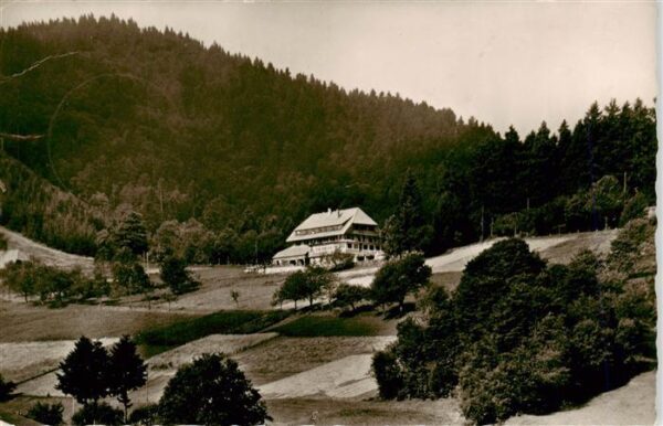 Schoenau Schwarzwald Gasthaus Pension Haldenhof