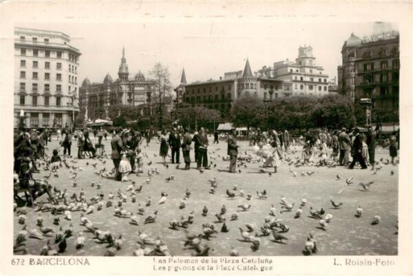 Barcelona Cataluna ES Las Palomas de la Plaza Cataluna