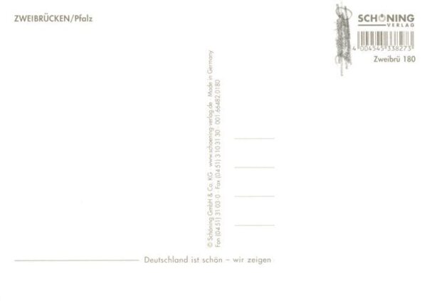 Zweibruecken Pfalz Schloss Alexanderkirche Panorama Reiten Schwanenteich – Bild 2