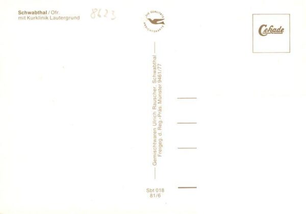 Schwabthal Fliegeraufnahme mit Kurklinik Lautergrund – Bild 2