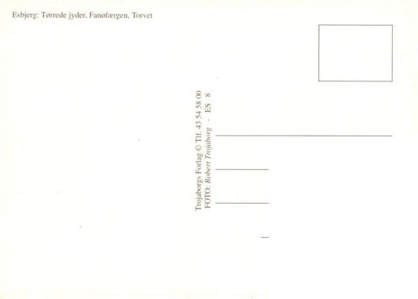 Esbjerg DK Torrede jyder Fanofaergen Torvet – Bild 2