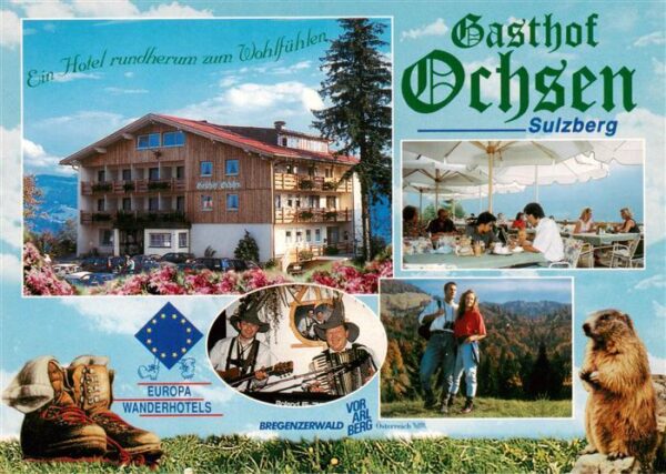 Sulzberg Vorarlberg AT Gasthof Ochsen Gastraum Panorama Biber