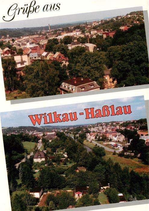 Wilkau-Hasslau Panorama
