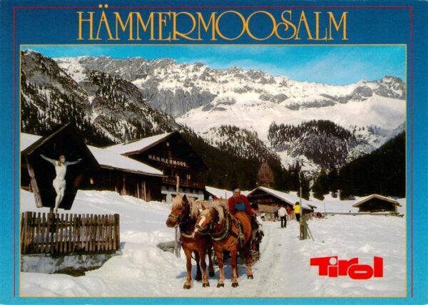 Leutasch Tirol AT Haemmermoosalm Pferdeschlitten