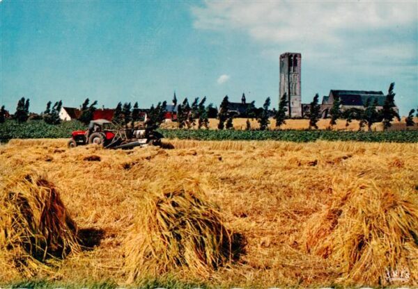 Damme  West-Vlaanderen Belgie Algemeen zicht