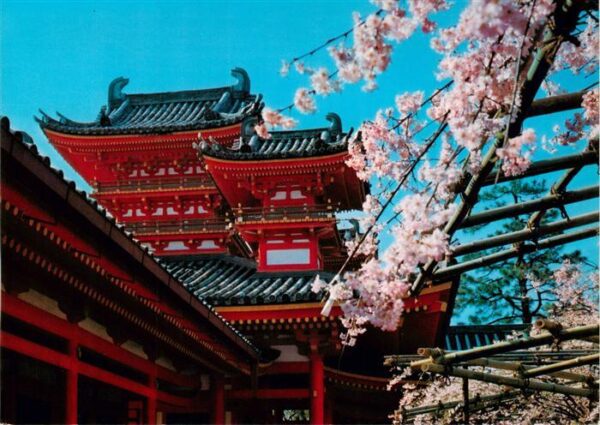 Kyoto Japan Heian Shrine Baumbluete