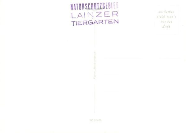 Lainzer Tiergarten Hermesvilla Innsbruck Tirol AT Fliegeraufnahme – Bild 2