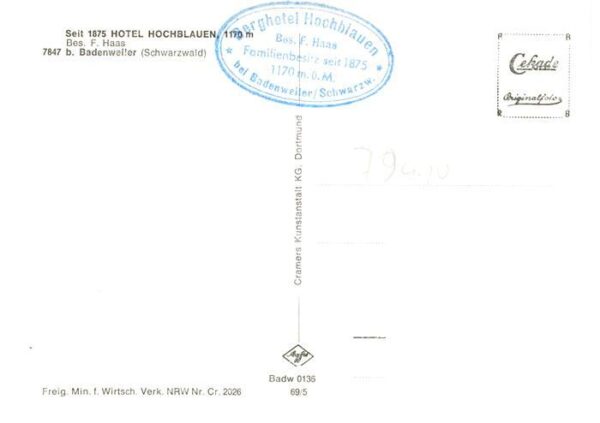 Badenweiler Hotel Hochblauen Schloss Buergeln – Bild 2