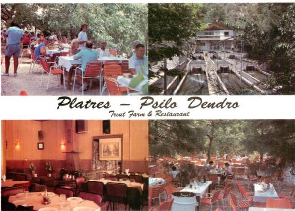 Platres Cyprus Zypern Psilo Dendro Trout Farm et Restaurant