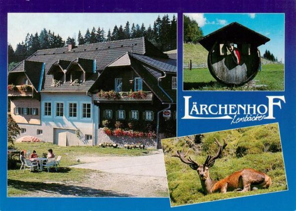 Vorau Steiermark AT Laerchenhof Lembaecker Hirsch