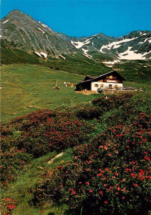 Schenna Meran Trentino IT Resegger Alm Hirzer Hochplateau