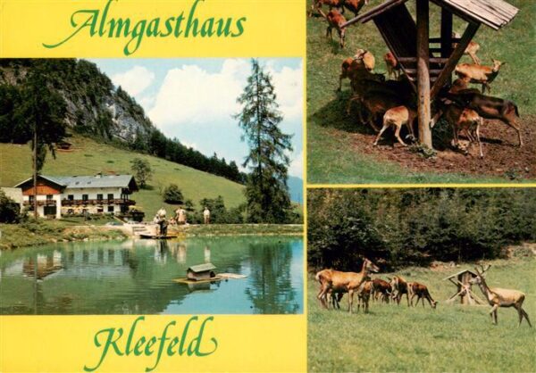 Strobl Wolfgangsee AT Almgasthaus Kleefeld Wildgehege