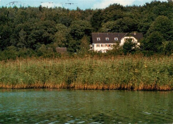 Horn-Bad Meinberg Waldhotel Entenkrug