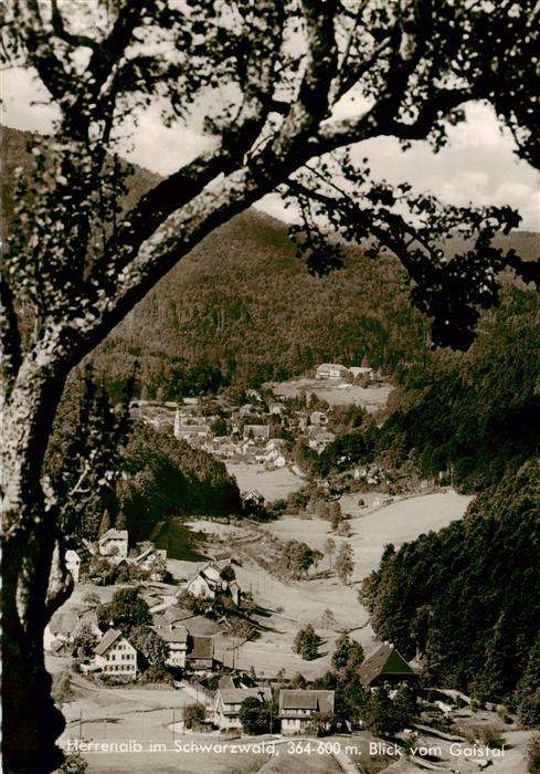 Bad Herrenalb Panorama Blick vom Gaistal Schwarzwald