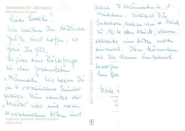Venusberg Zschopau Pension Waldhof Gastraum – Bild 2