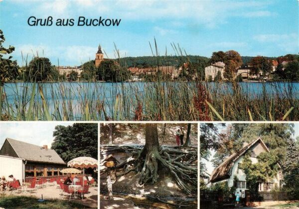 Buckow Maerkische Schweiz Bad Ortsansicht HOG Bollersdorfer Hoehe Wurzelfichte B