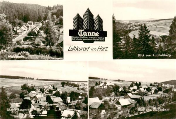Tanne Harz Waldstrasse Blick vom Kapitelsberg Kleine Bergstrasse Blick vom Ziege