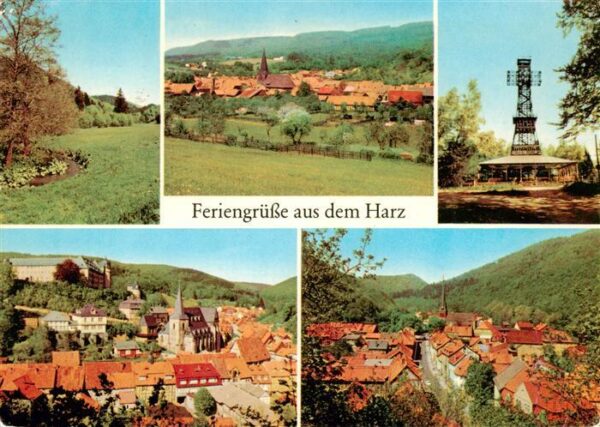 Netzkater Neustadt Harz Josephshoehe bei Stolberg Josephskreuz Ilfeld Wiegersdor