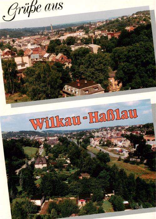 Wilkau-Hasslau Panorama