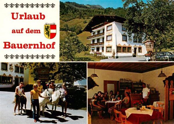 Fusch Grossglocknerstrasse AT Urlaub auf dem Bauernhof Pension Hollaus Ponyhof