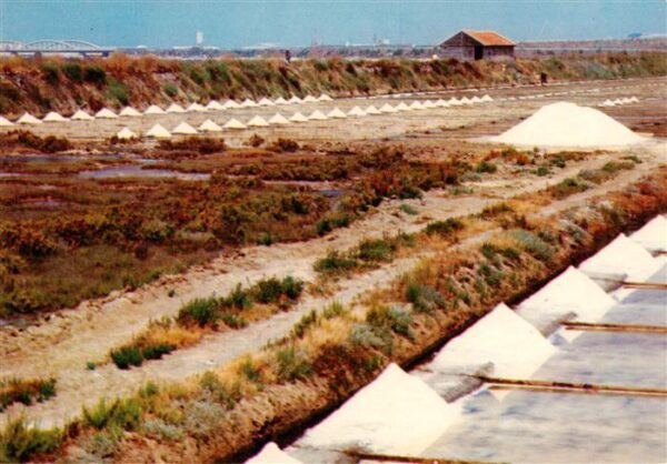 Figueira da Foz PT Pormenor das salinas