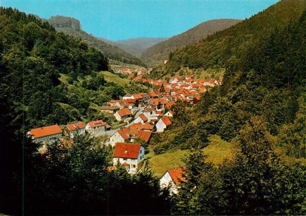 Zorge Harz Panorama Mittelzorge