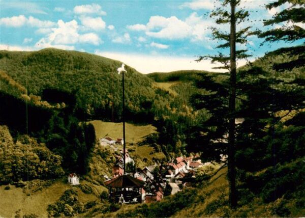 Zorge Harz Panorama