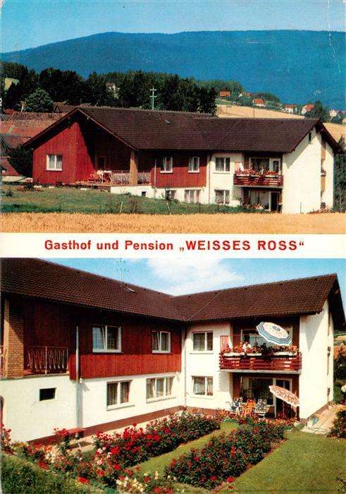 Friedenfels Oberpfalz Bayern Gasthof Pension Weisses Ross