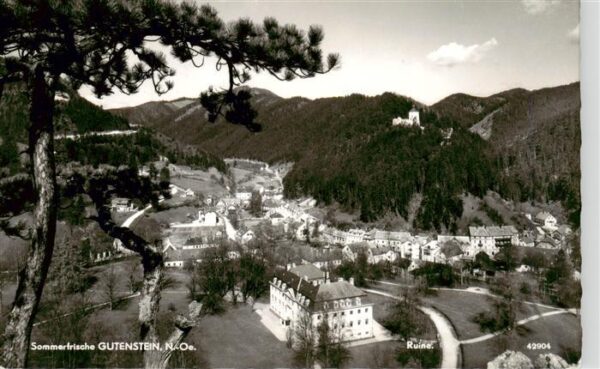 Gutenstein Niederoesterreich Panorama Sommerfrische