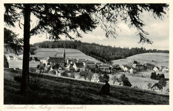 Schoenwald Triberg Panorama Schwarzwald