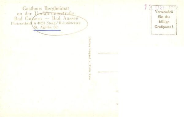 Steeg Hallstaettersee Oberoesterreich AT Gasthaus Bergheimat Panorama – Bild 2