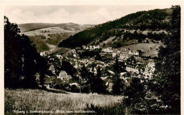 Triberg Panorama Blick vom Schillerstein