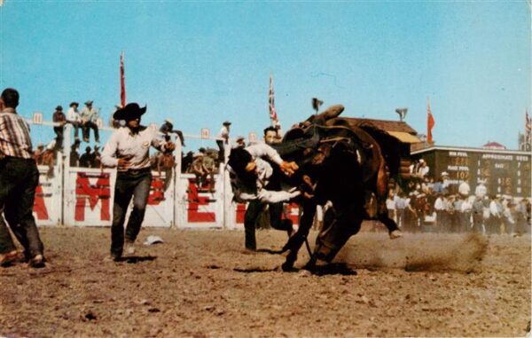 Calgary Alberta Canada Bucking horse at the famous Stempede