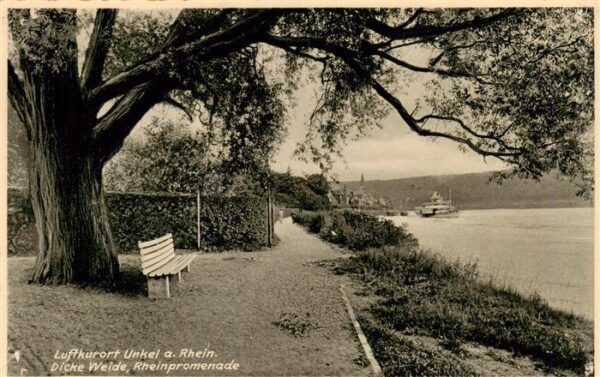 Unkel Rhein Dicke Weide Rheinpromenade